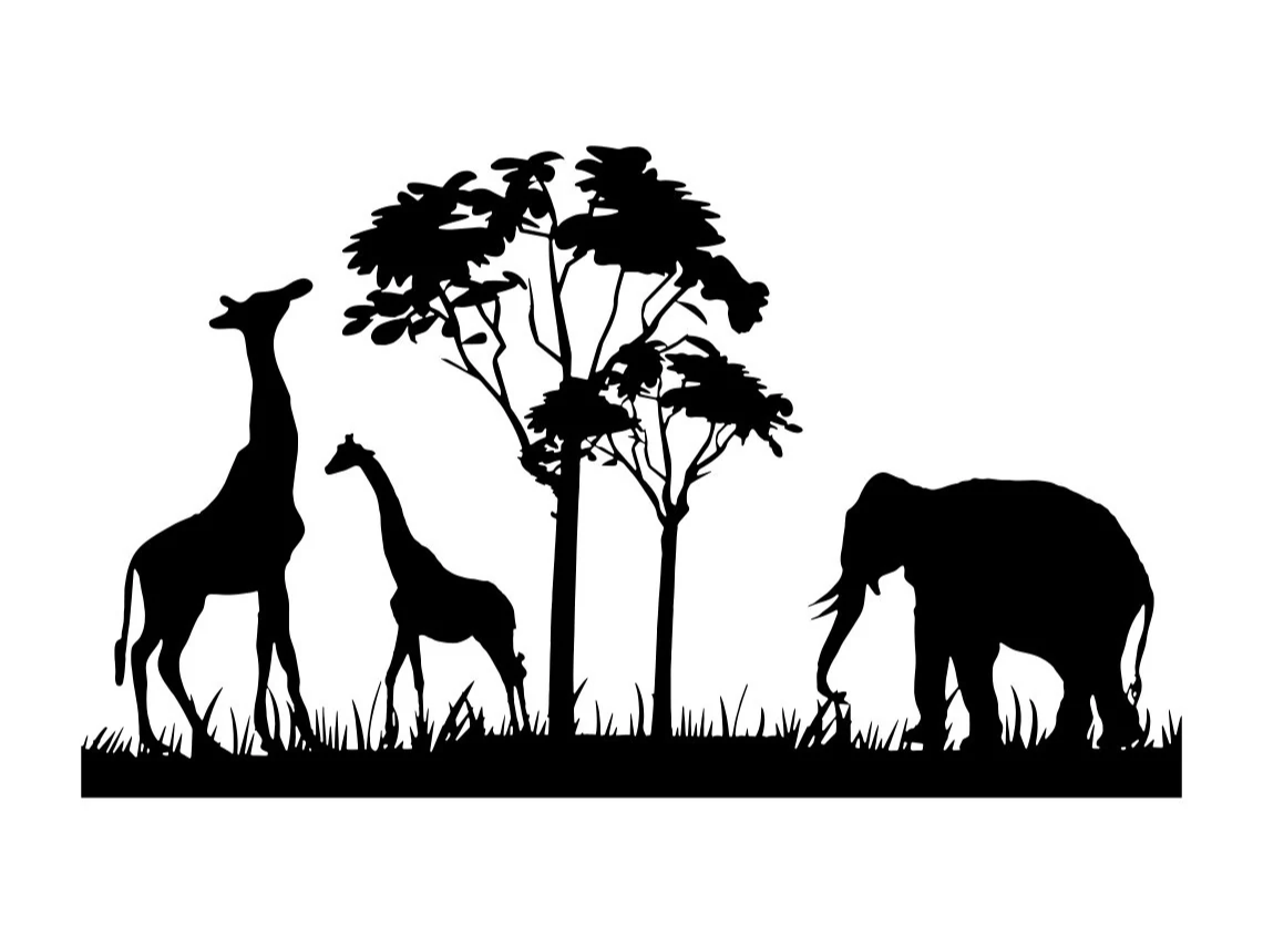 Safari