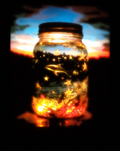 Lithophane : The dolphin in the jar