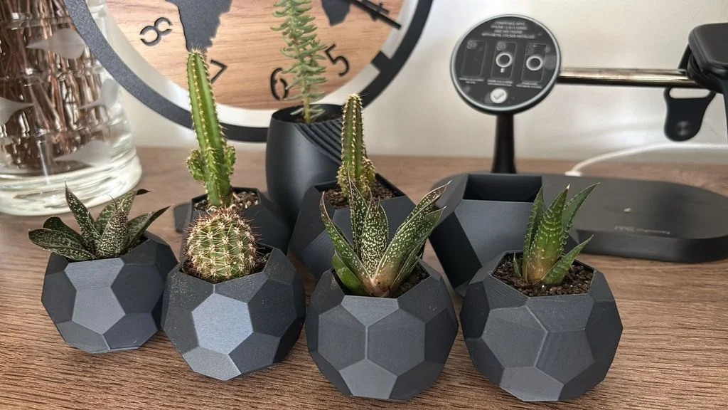 Cactus Pot Collection