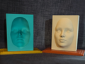 Hollow Mask Illusion