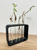 Test Tube Holder for plant propagation by cutting