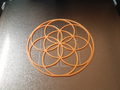 Seed of Life