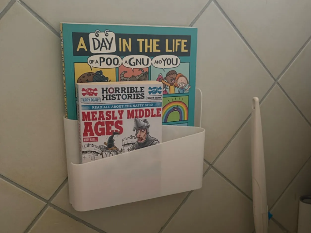 Newspaper and magazine wall holder