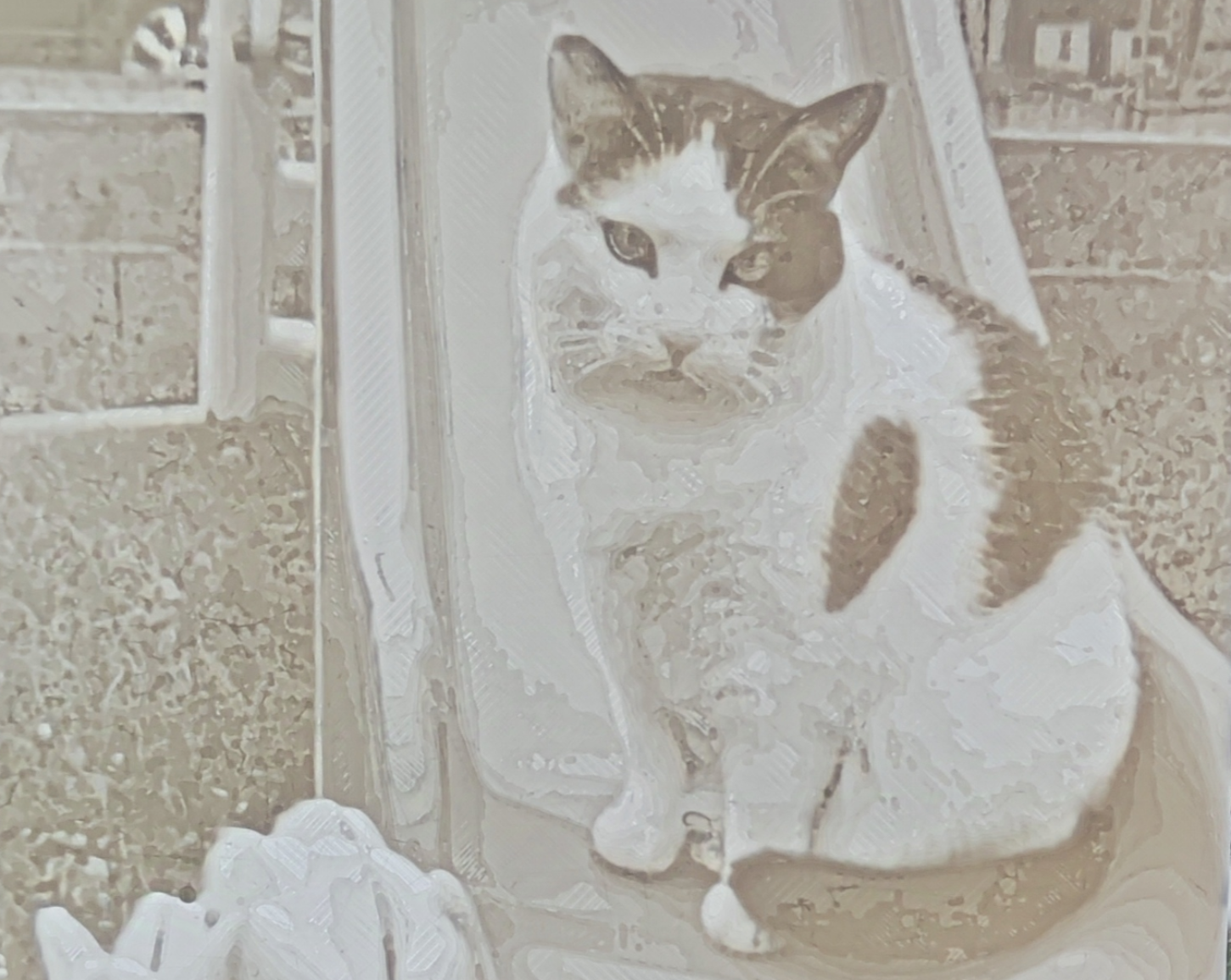 Le chat de ma fille