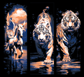 Creatures real and fantastical - Bengal Tiger, White Tiger and Pegasus - Set of 3 bookmarks