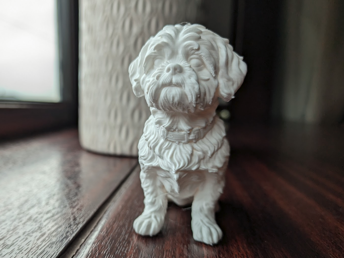 Shih Tzu Dog