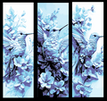 The beauty of the Hummingbird - Flying amongst the flowers - Set of 3 Bookmarks