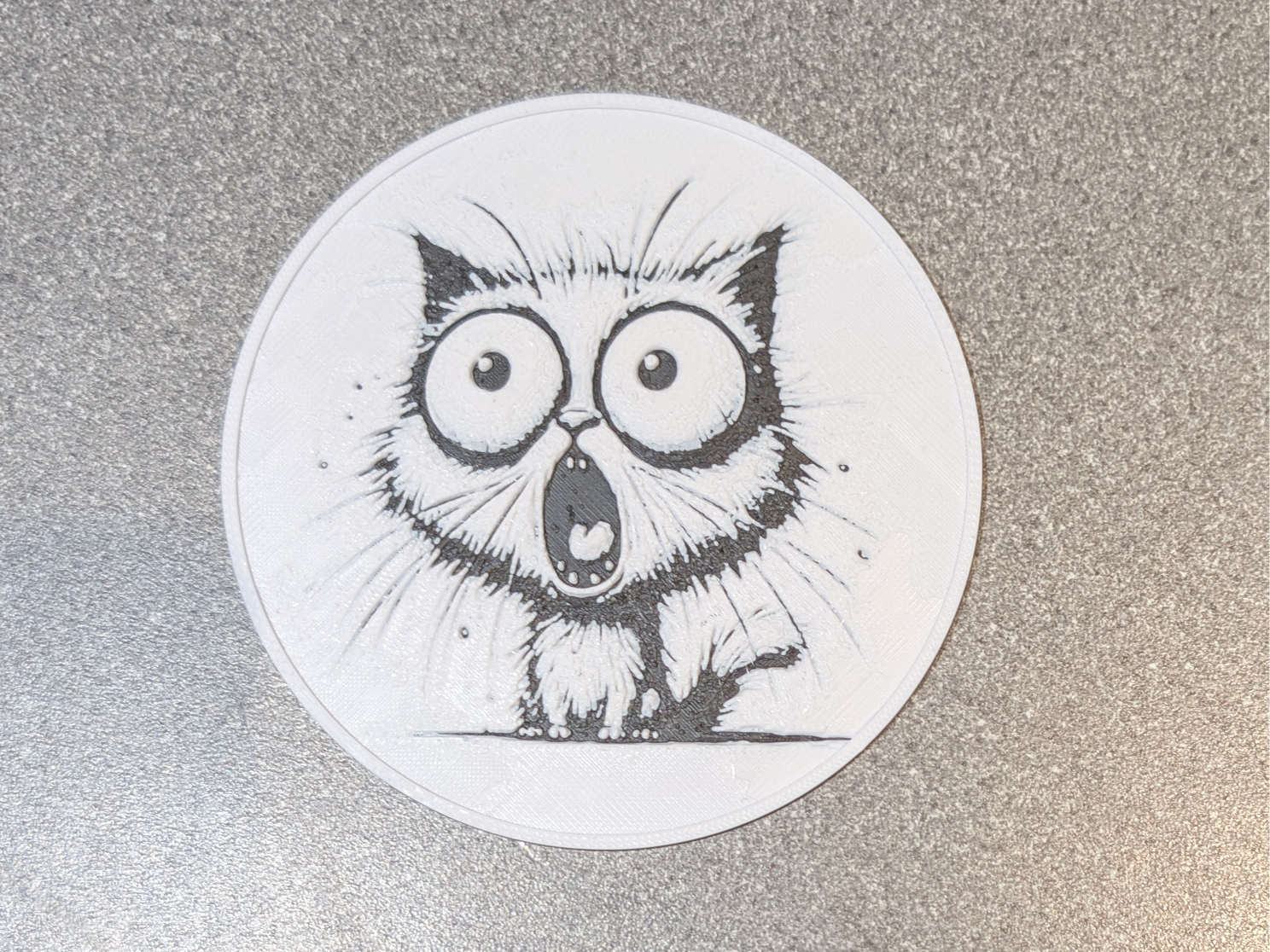 Shocked Cat Coaster 6