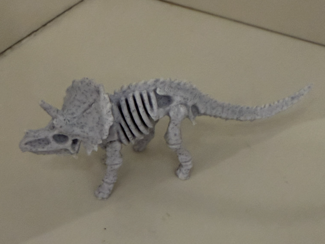 Triceratops Skeleton