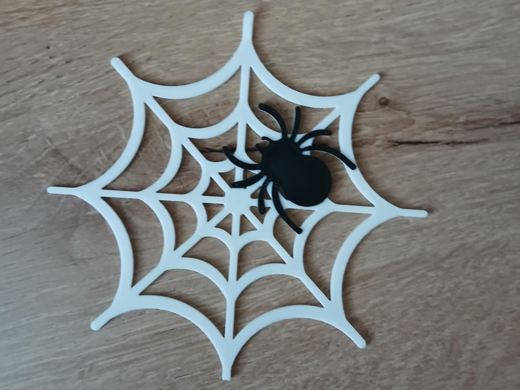 Spider & web decor