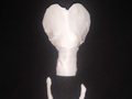 trachea and hyoide segmentation real anatomy