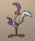 Multicolor Road Runner Magnet