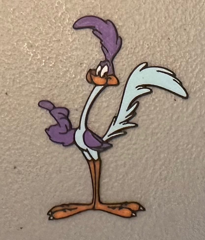 Multicolor Road Runner Magnet