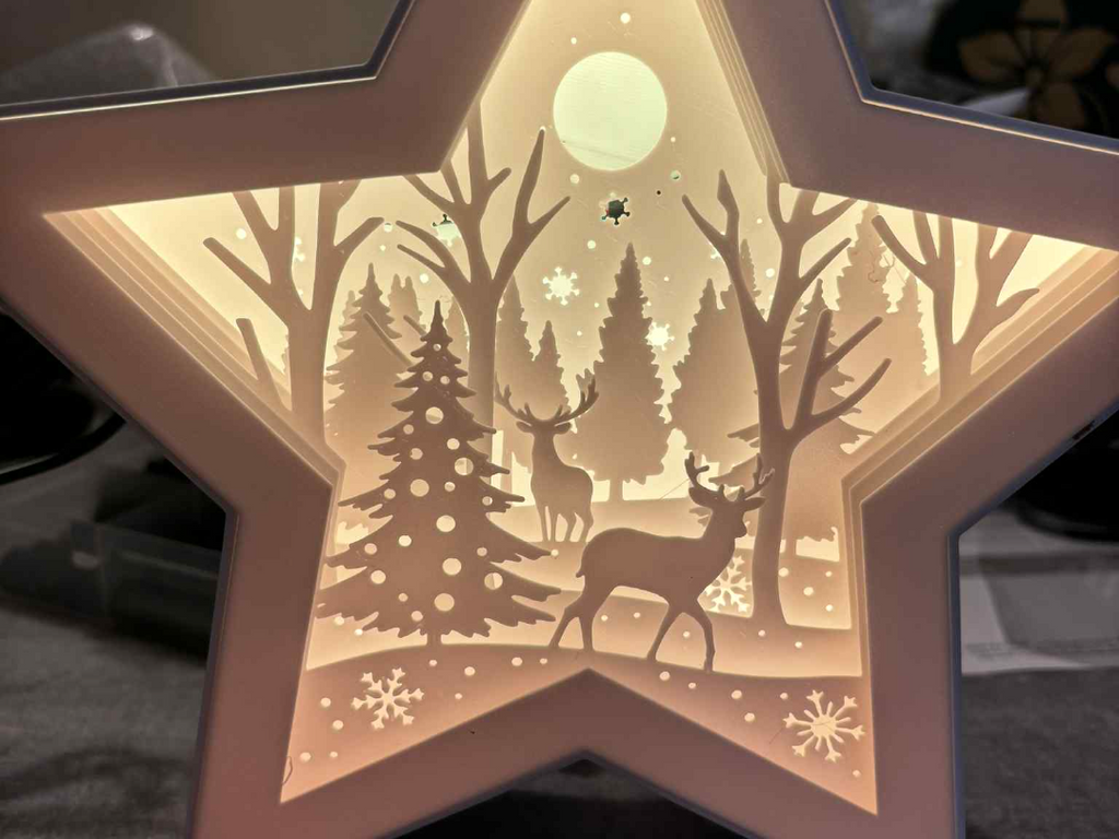 Etoile noël