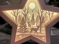 Etoile noël
