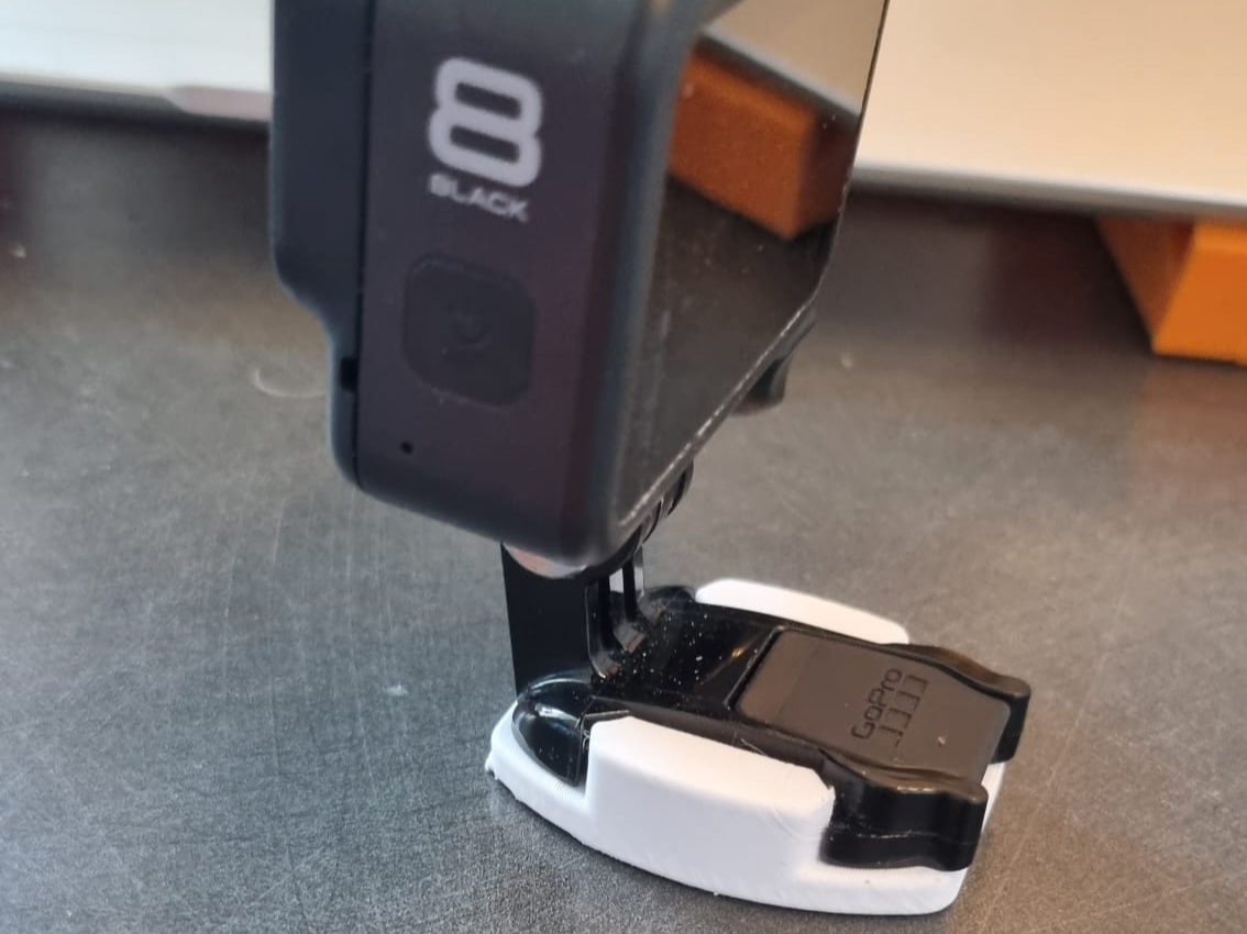 Gopro mount