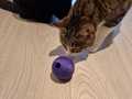 Treat Ball