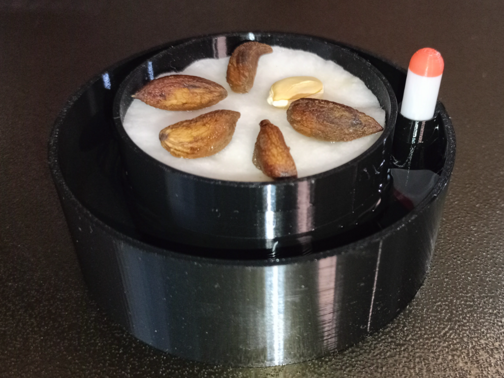 Self Watering sprouter with water level indicator