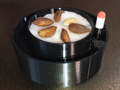 Self Watering sprouter with water level indicator