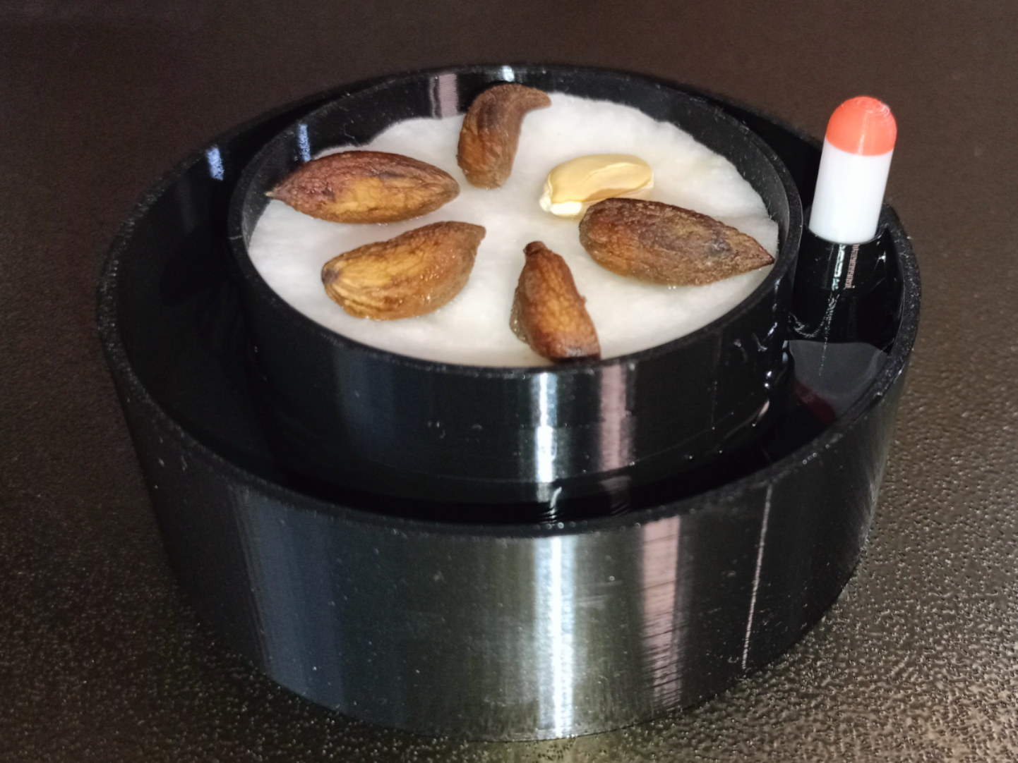 Self Watering sprouter with water level indicator