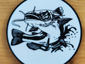 Coaster catfish
