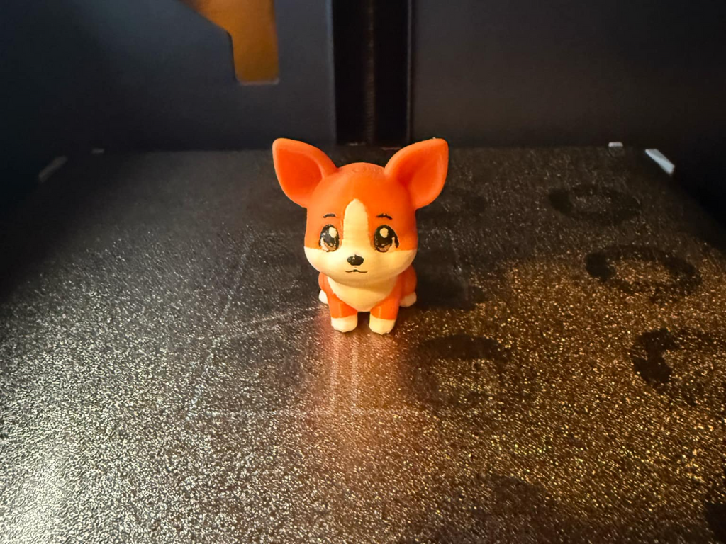 Cute Corgi