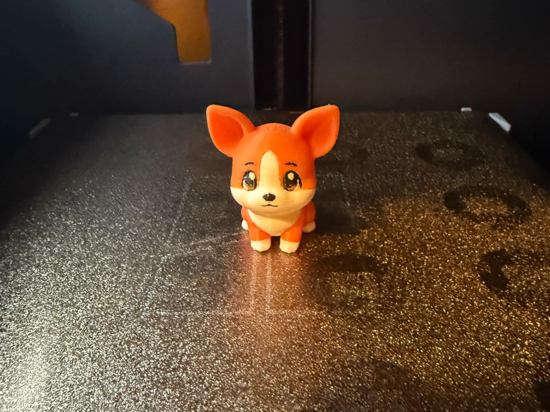 Cute Corgi