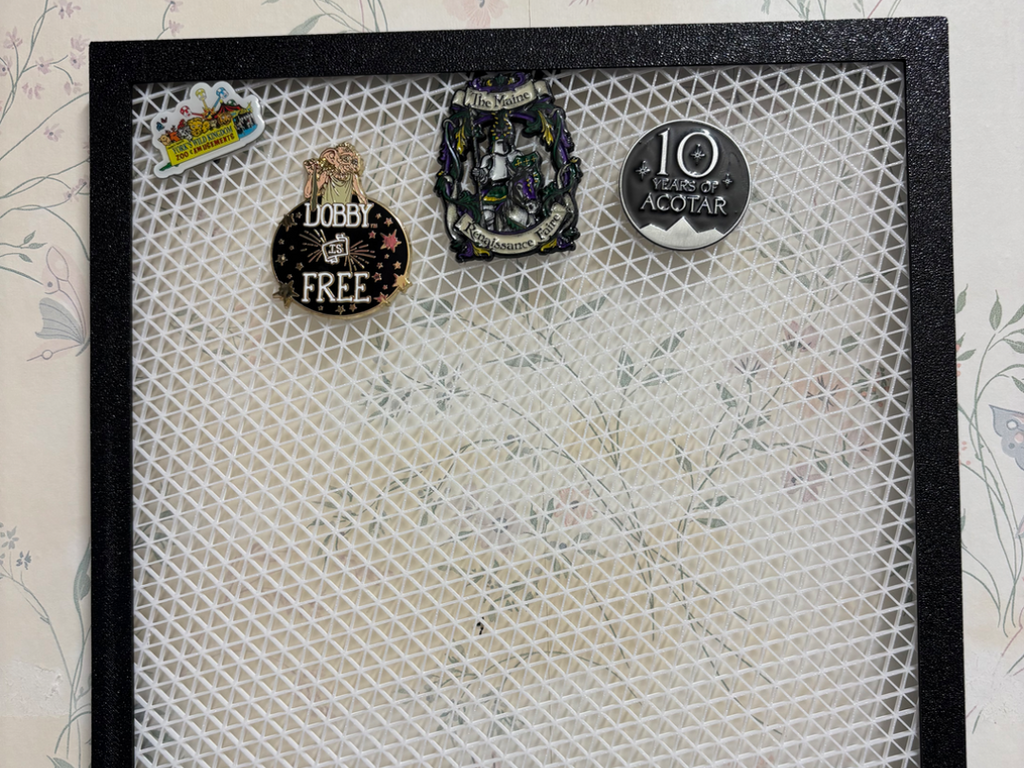 Pin Display – 3D Printed Showcase for Enamel Pins