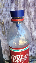 Soda Bottle Fly Trap Cap