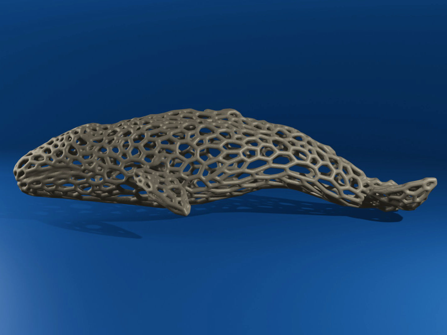 Gray Whale Voronoi