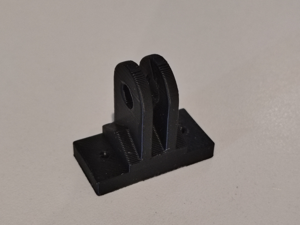 GoPro Mount