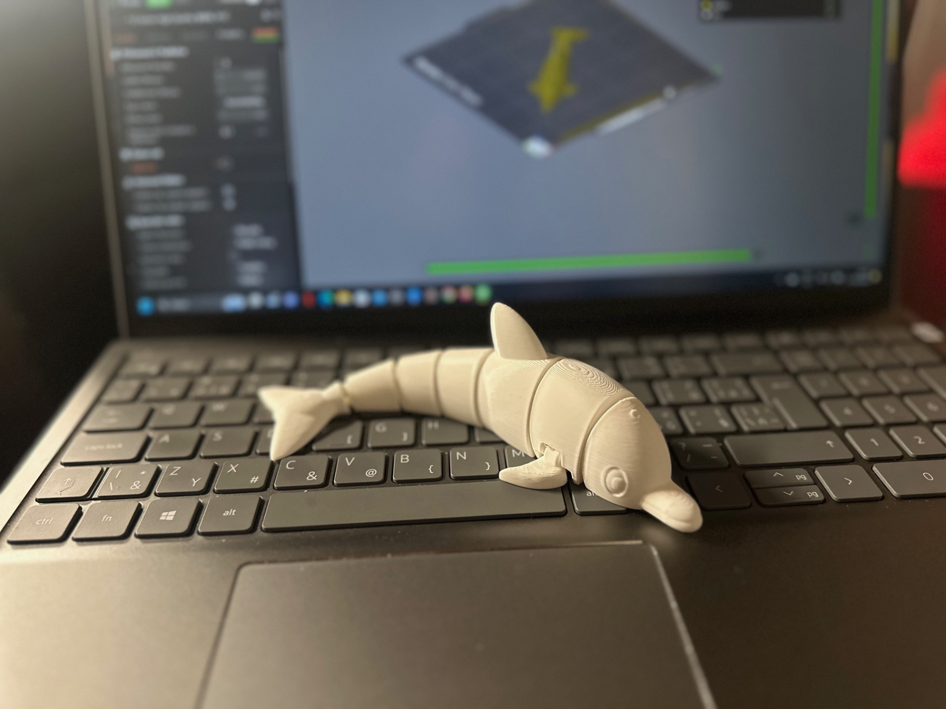 Dolphin