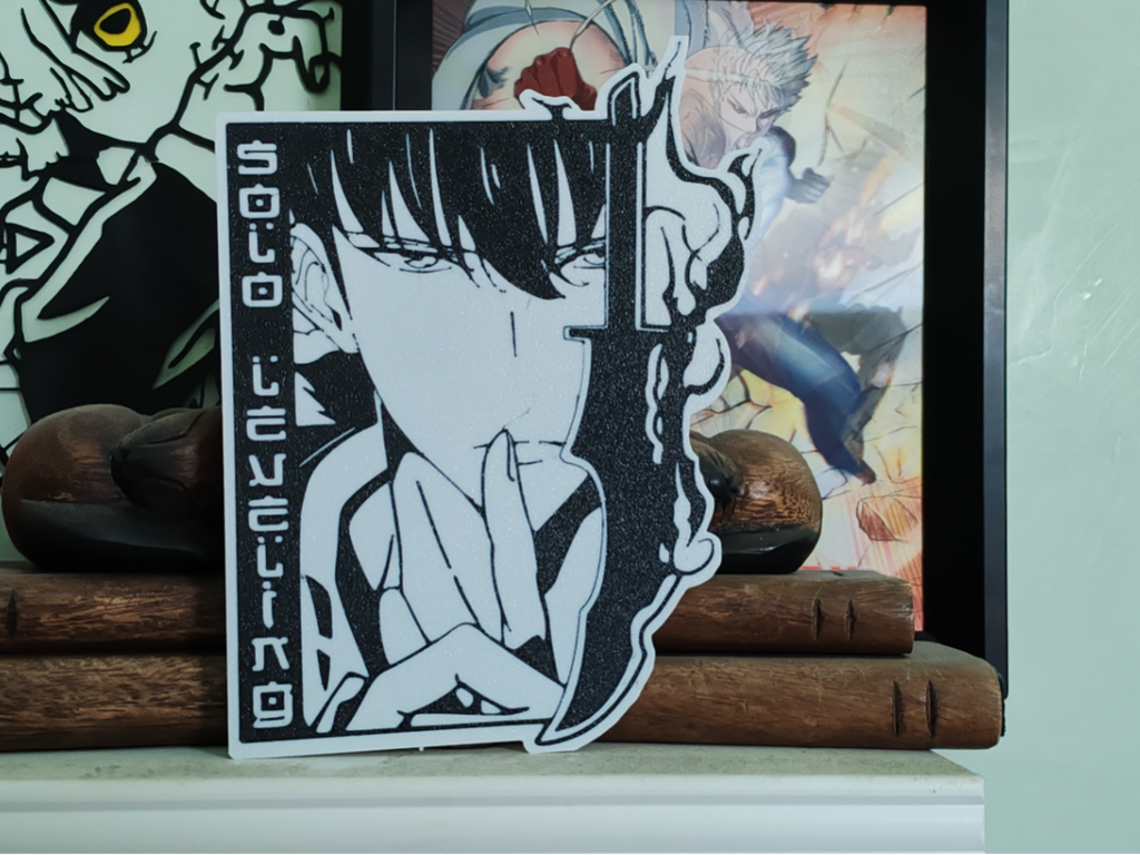 Solo Leveling Sung Jin Woo 2d wall art