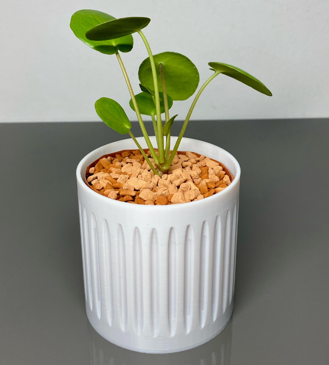 Plant Pot 80mm