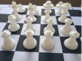 Duck Chess