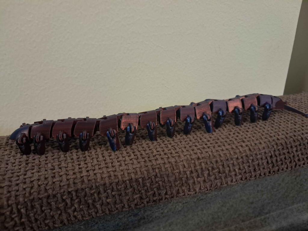 flexy Velvet worm