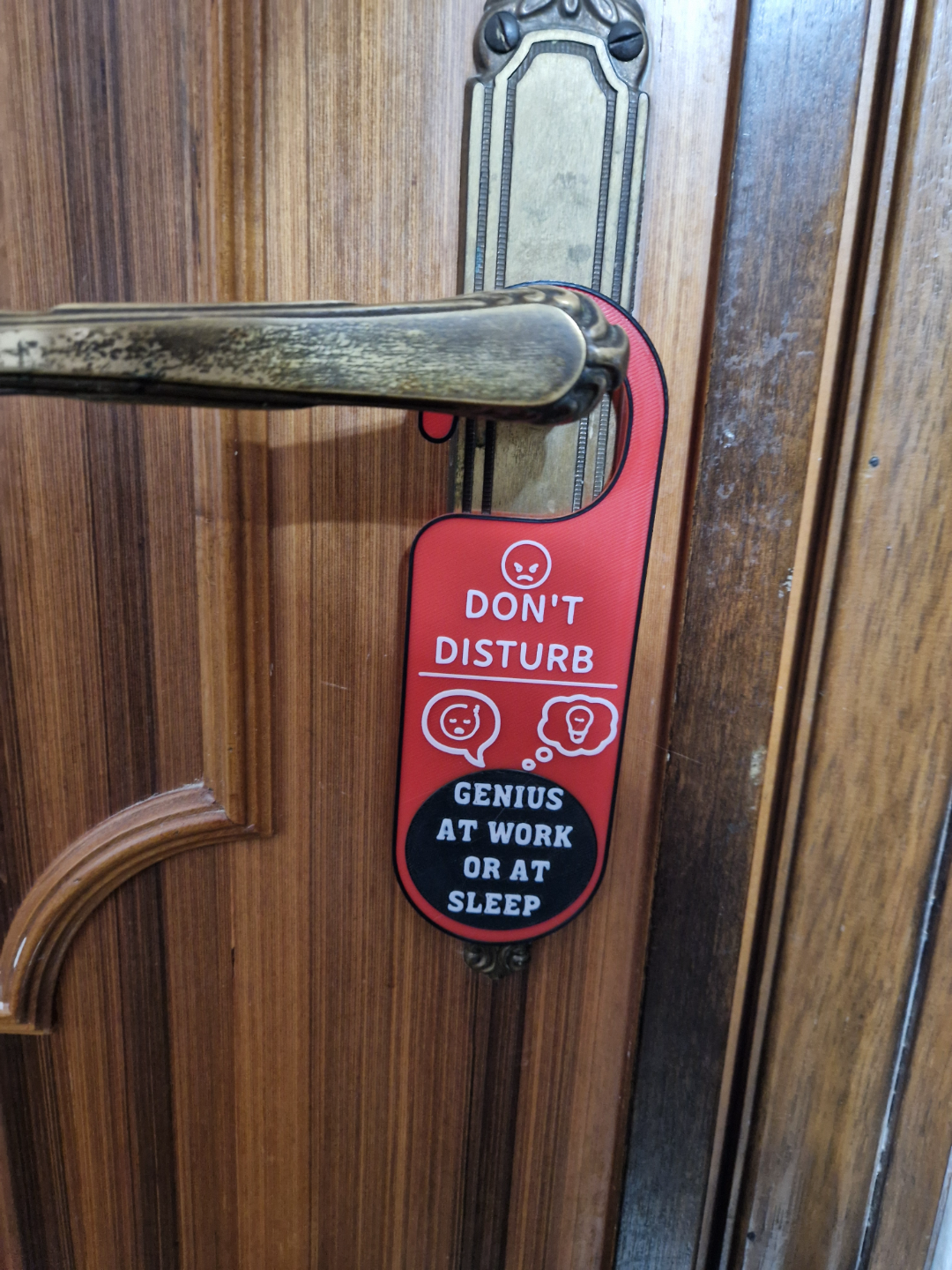 Door Hanger - Don't disturb