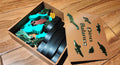 DINO BALANCE GAME BOX