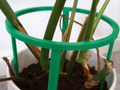 PODPÓRKA DO KWIATÓW BEZ KLEJU 14cm