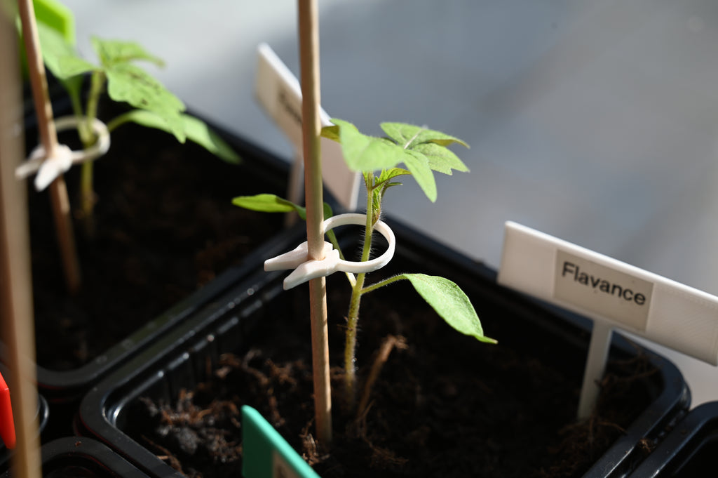 PflanzenClip / Plant Clip