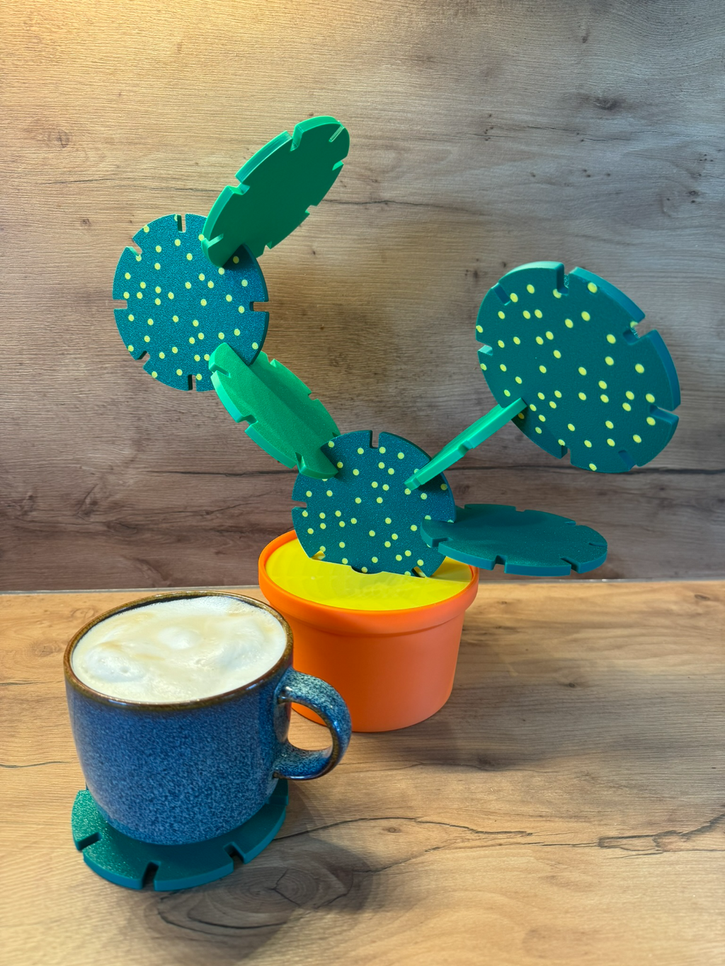 Cactus coaster/toy