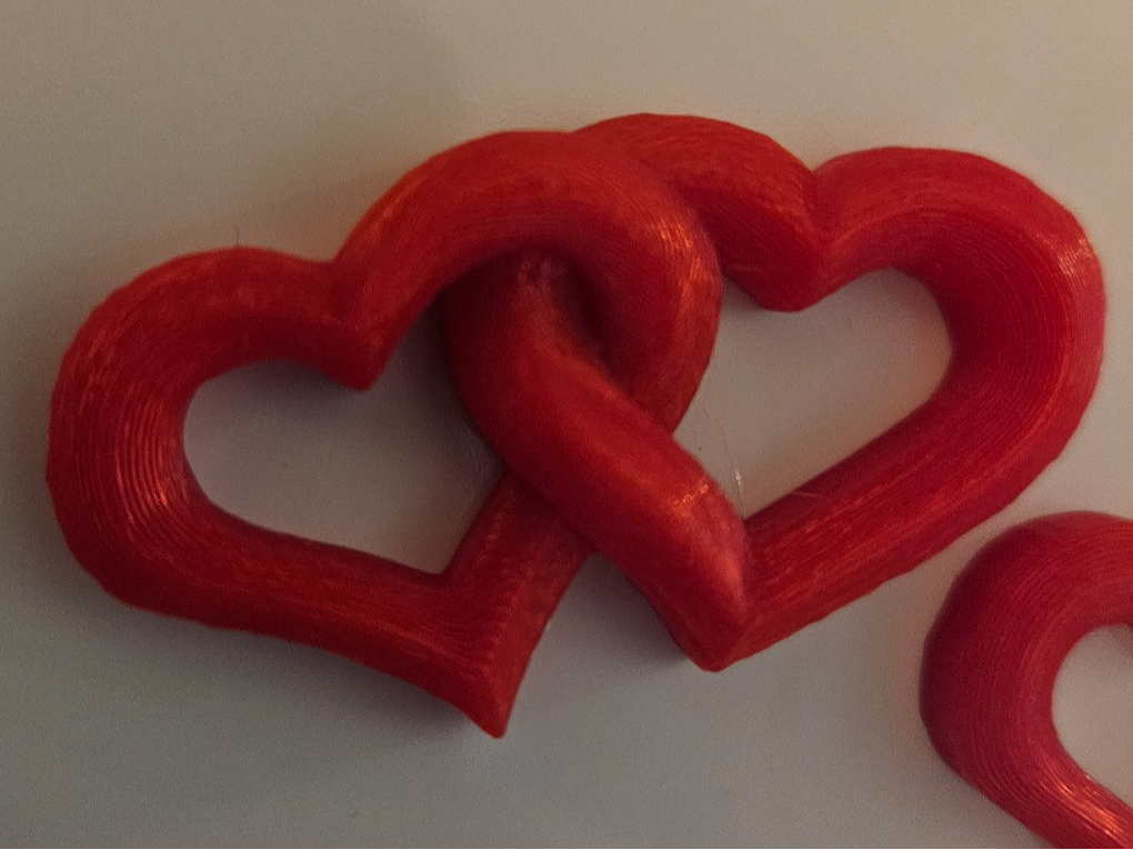 Entwined Heart Fridge Magnet