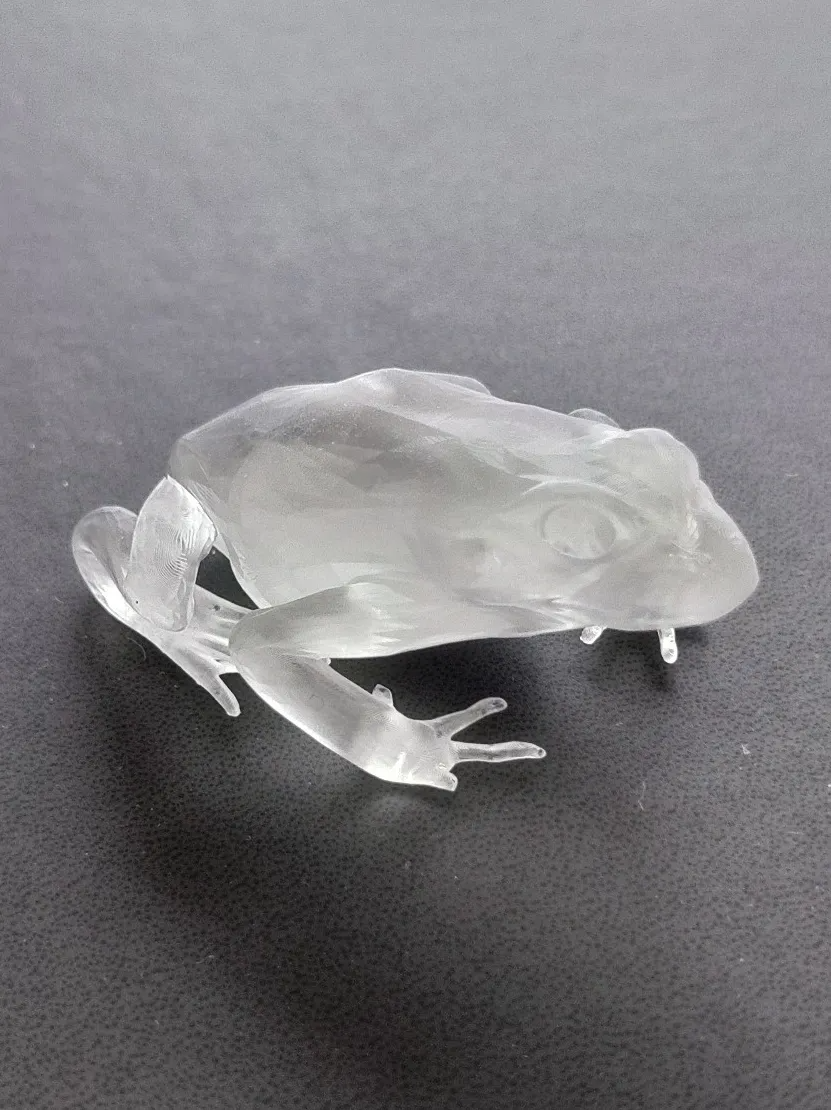 Frog