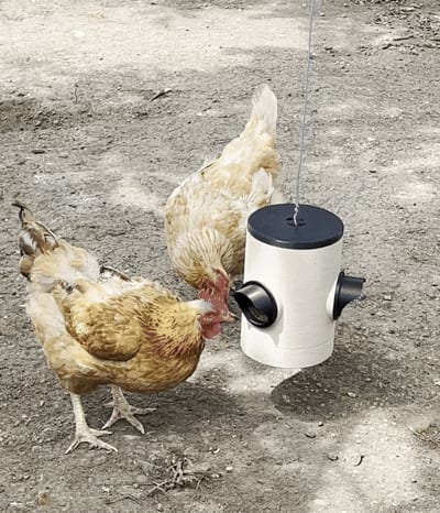 Automatic Chicken Feeder - Poultry Feeder