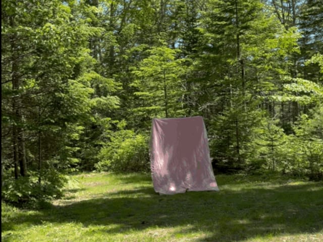 Magnus Curveball