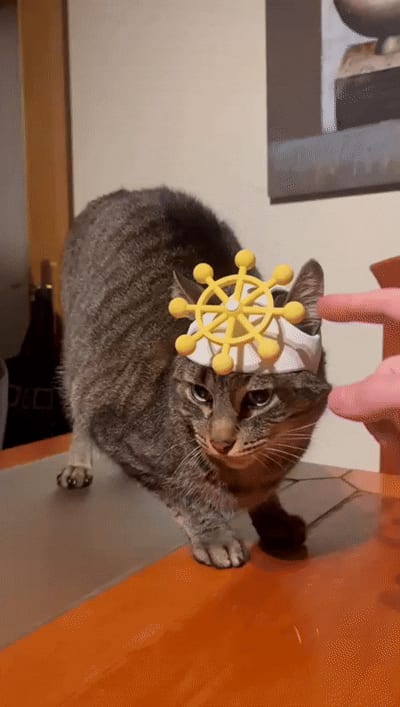 Casco Gato Mahoraga