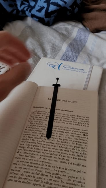 Berserk raider sword Bookmark