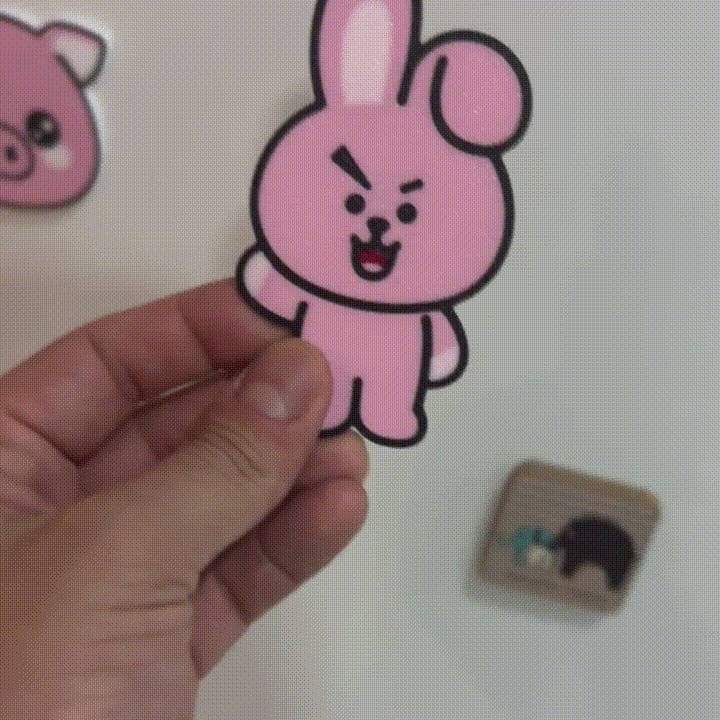 Cooky - BTS - Keychain or magnet