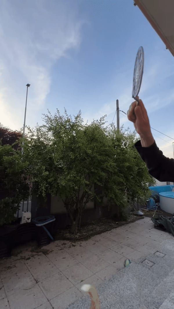 Soap Bubbles