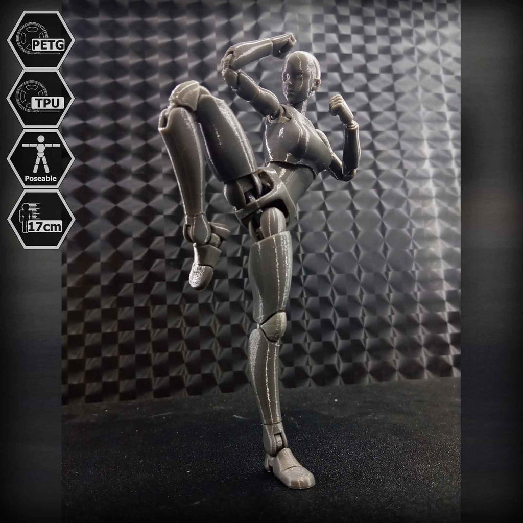 1/10 Scale TPU Joint Action Figure E.V.A 02